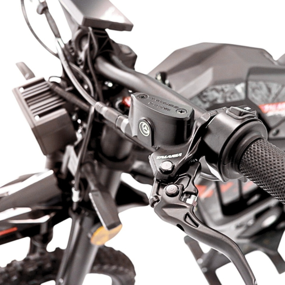 Sting TL5500 PRO L1e con ECOINCENTIVO TALARIA