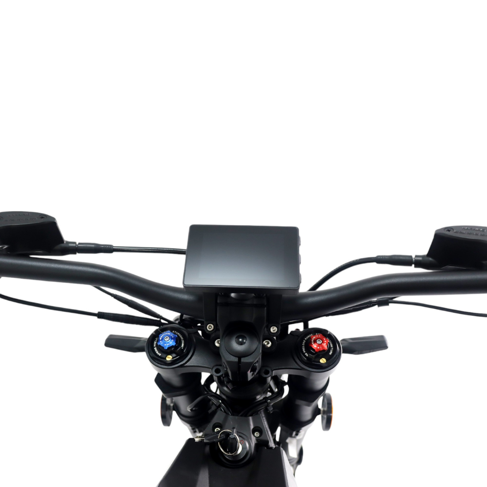 Sting TL5500 PRO L1e con ECOINCENTIVO TALARIA